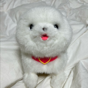 똘똘이 움직이는 몽실이 인형 택포