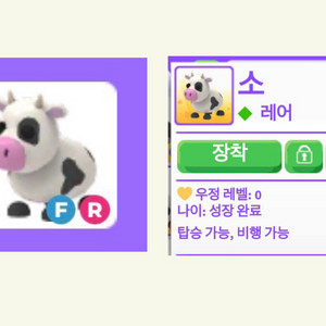 입양하세요 펫 젖소 이미지