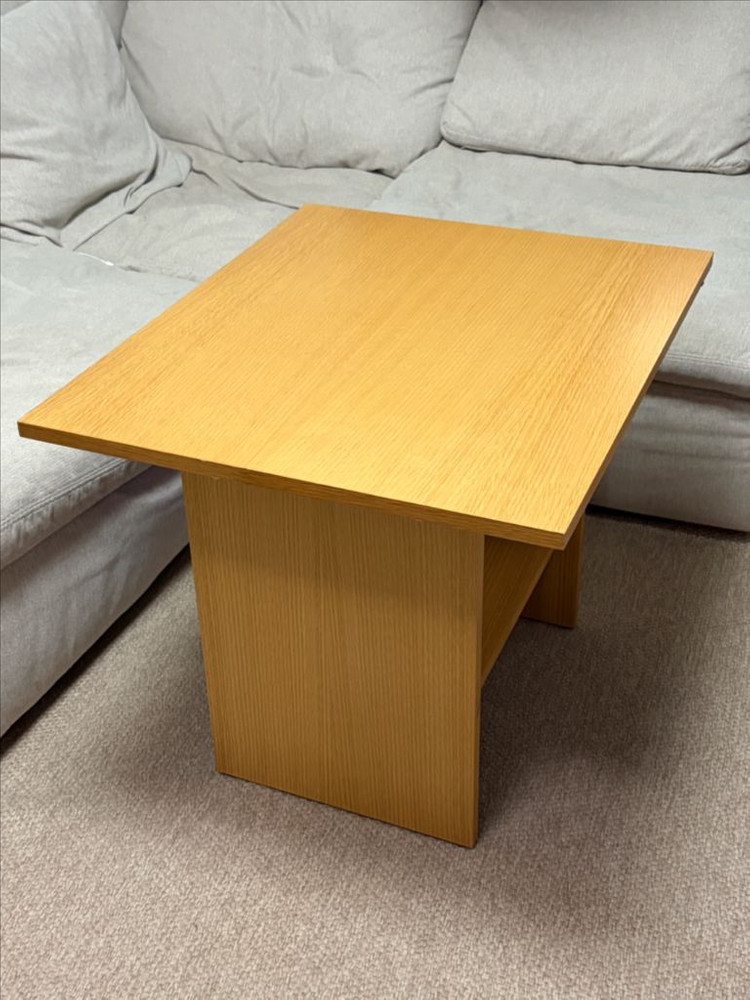 잭슨카멜레온 볼손 소파테이블--1