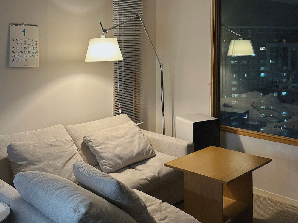 잭슨카멜레온 볼손 소파테이블--4