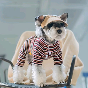 10 - 15kg 강아지옷 아이스실크 올인원 (새상품)