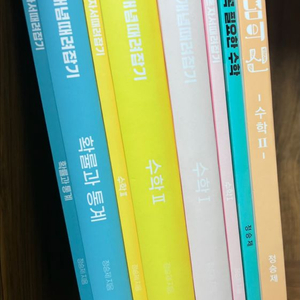 정승제 개때잡, 혼때잡, 수꼭필, 개념의신