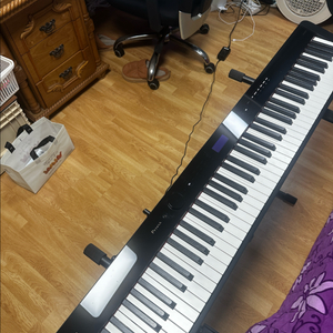 전자피아노 카시오 프리비아 디지털피아노 PX-S3100