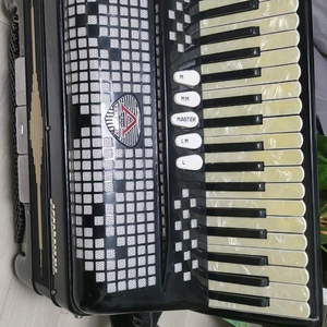 아코디언 엑셀시오르 모델308