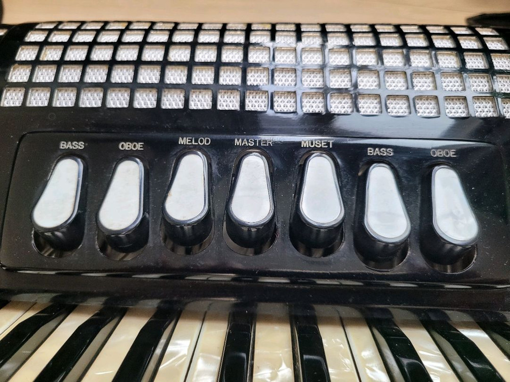 아코디언 엑셀시오르 모델308 이미지