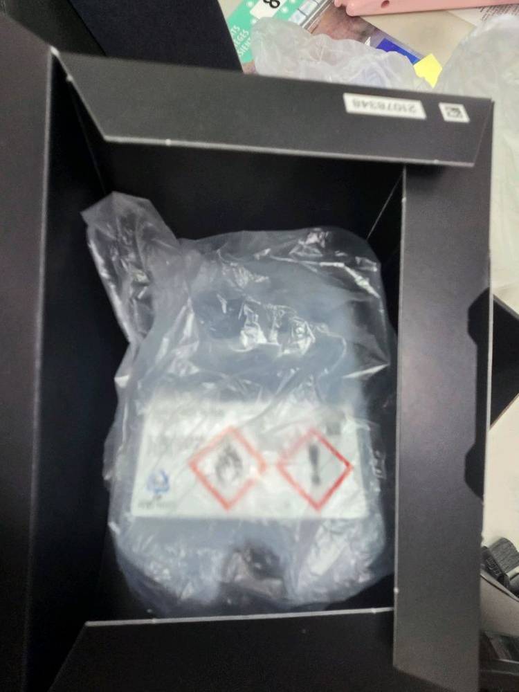 브라운 시리즈8--6