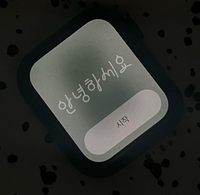 애플워치5 나이키 스포츠밴드 44mm 셀룰러--6