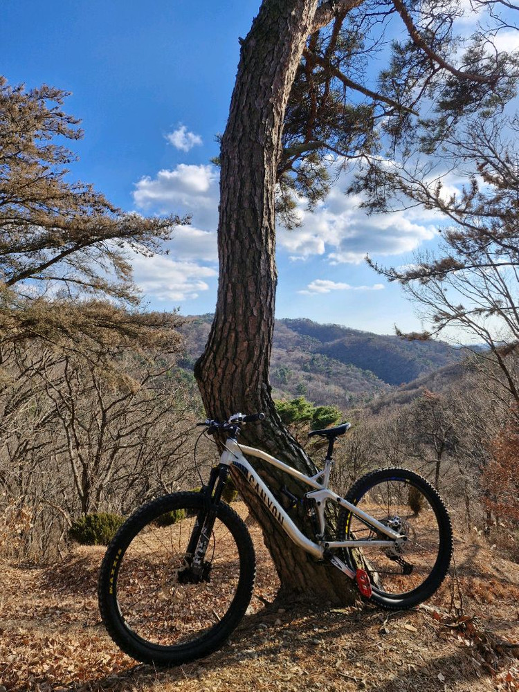 거래완료 DNM AO 39RC MTB 리어샥 팝니다 급처--3