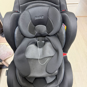 순성 데일리카시트