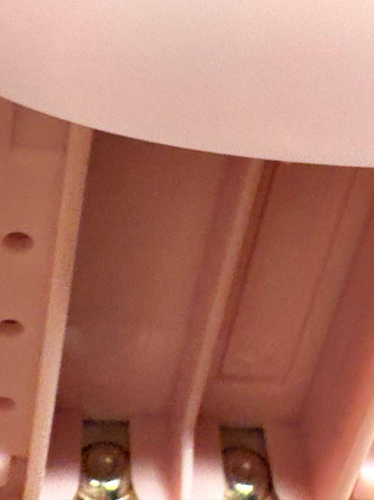 다마고치 썸 메르헨 핑크 이미지