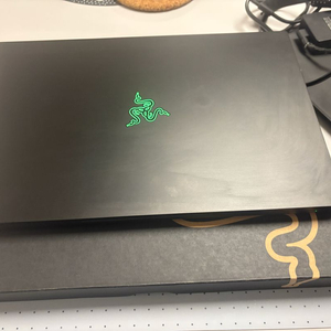 레이저 블레이드프로17 2022 노트북