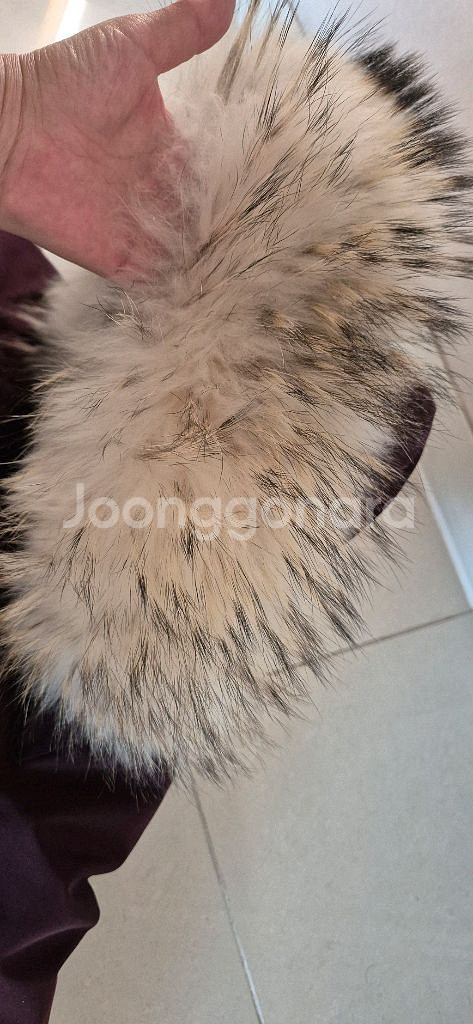 빈폴 85사이즈. 쥬니어용 구스패딩팝니다--2