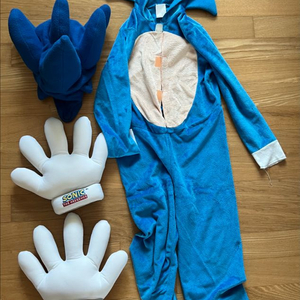 소닉 더 헤지혹 캐릭터 코스튬 이미지