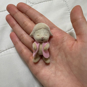 실바니안 올드 슬리핑 단종 양