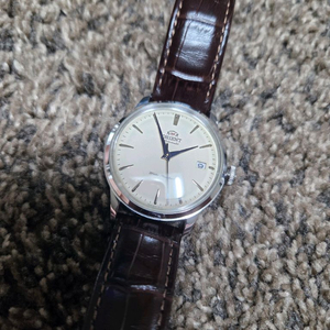 오리엔트 밤비노