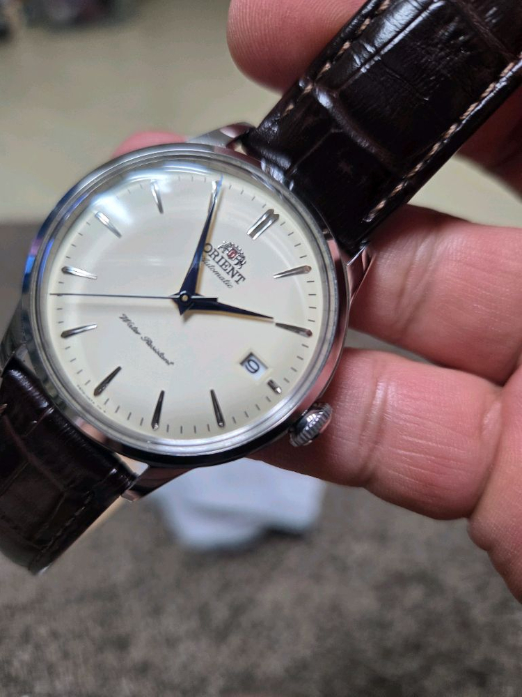 오리엔트 밤비노--1