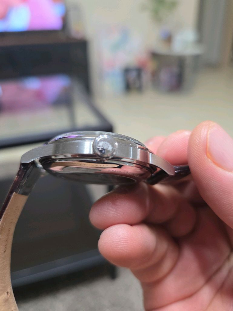 오리엔트 밤비노--3