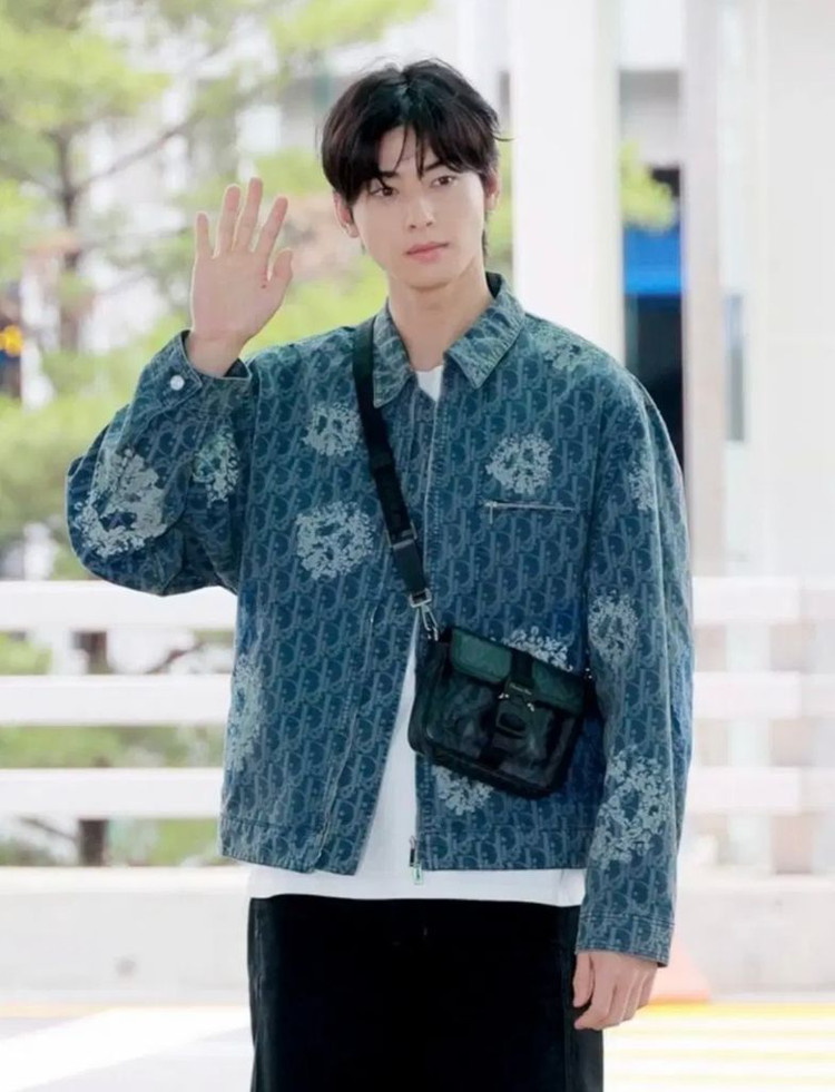 국내미발매 디올 x 데님티어스 오블리크 블루종 자켓 56 새상품--8