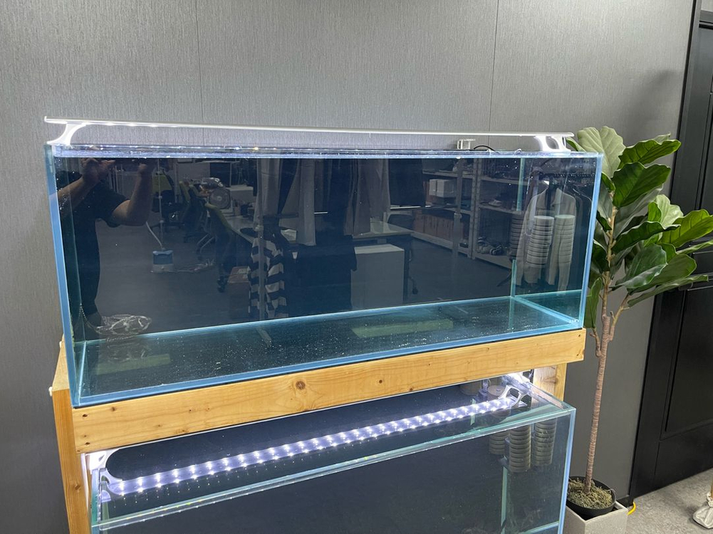 HANS 4자 광폭 어항과 HOYA 4자 광폭 하이 어항 올디아망 수조 12T 어항 판매 (개별 가능)--3