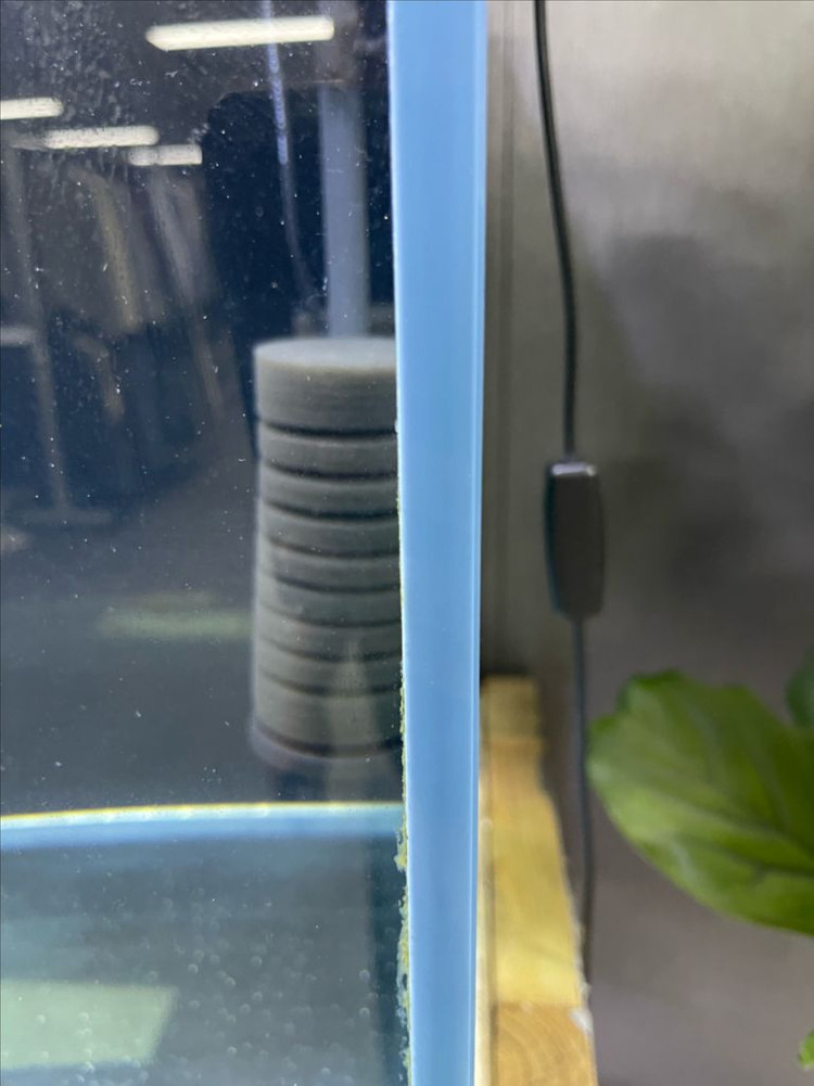 HANS 4자 광폭 어항과 HOYA 4자 광폭 하이 어항 올디아망 수조 12T 어항 판매 (개별 가능)--7