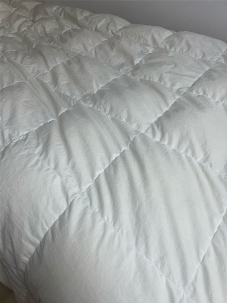 크라운구스 듀크 구스다운 이불솜(600g) 슈퍼싱글--1