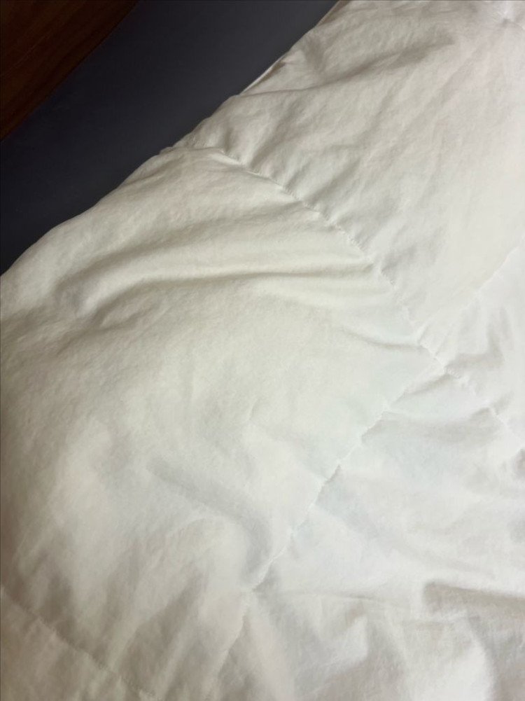 크라운구스 듀크 구스다운 이불솜(600g) 슈퍼싱글--2