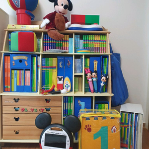 디즈니 월드 잉글리쉬 월팸 풀세트 책장 포함 이미지