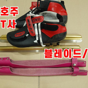 숏트랙스케이트