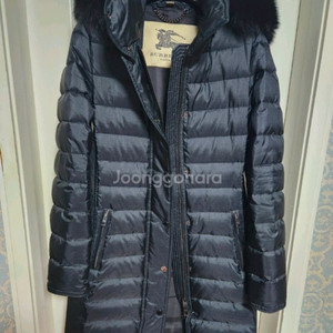 정품 버버리 아베데일