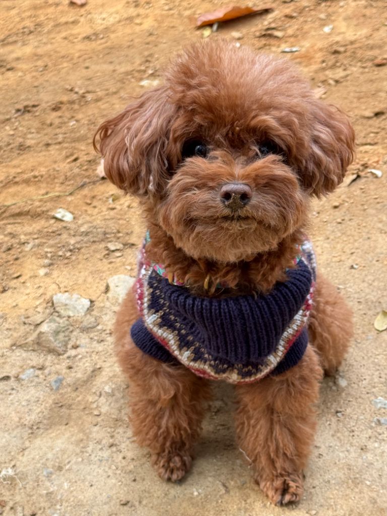 프로필 이미지