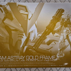 RG 아스트레이 골드프레임 미개봉