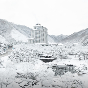 엘리시안강촌리조트 2월 15-16일 1박 2일 숙박권 양도 이미지