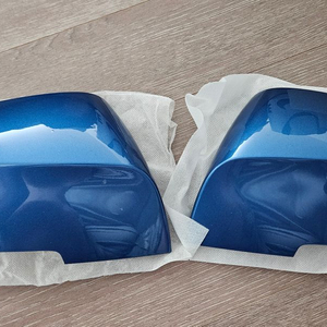 BMW F30 순정 미러 커버 (파랑)