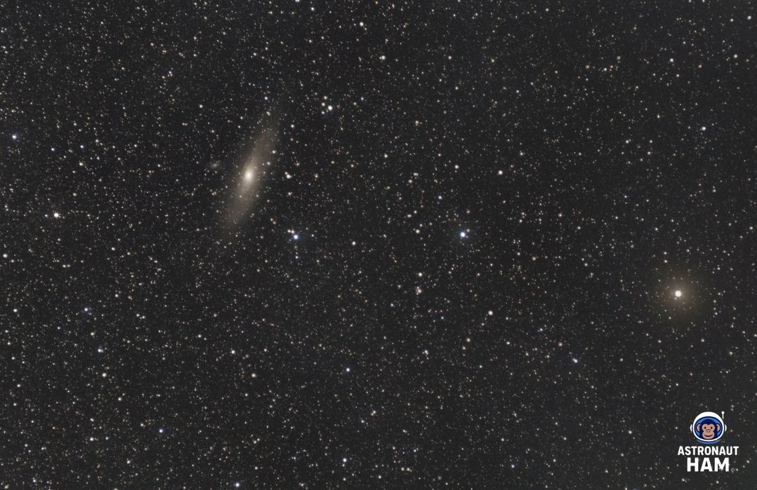 삼양 85mm f1.4 수동 ef(캐논) 판매합니딘 이미지