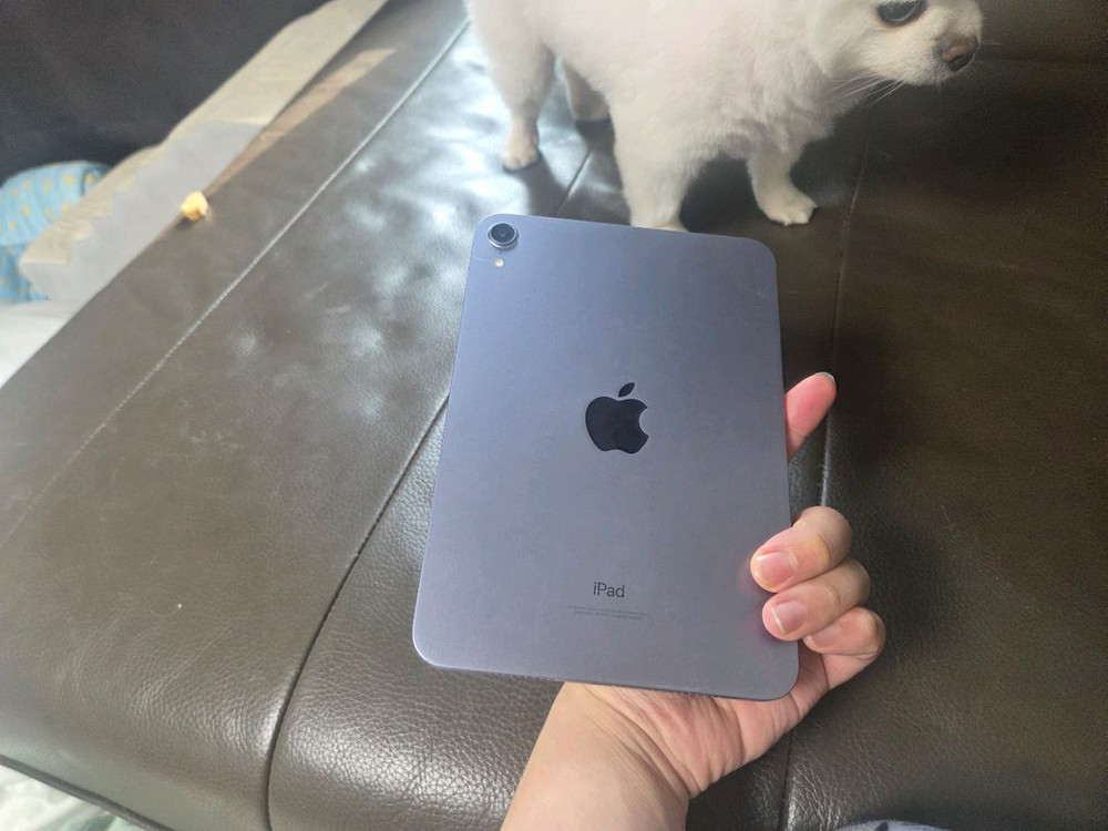 아이패드 미니 6 고급형 2024 A급 256Gb 쿨매 싸게 팝니다--6