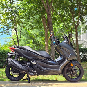 혼다 포르자 350 24년식 짧은키로수 차량 판매합니다