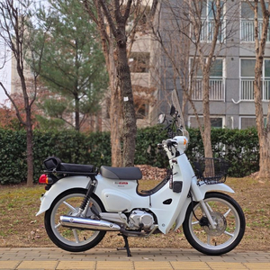 23년식 혼다 슈퍼커브 110 짧은키로수 차량 판매합니다