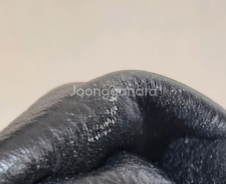 박신혜 브루노말리 크러커다일 악어 디자인 가죽 가방 백팩 빈티지 가방--4