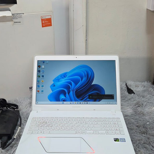 삼성 오디세이 NT800G5M 게이밍 노트북 팝니다