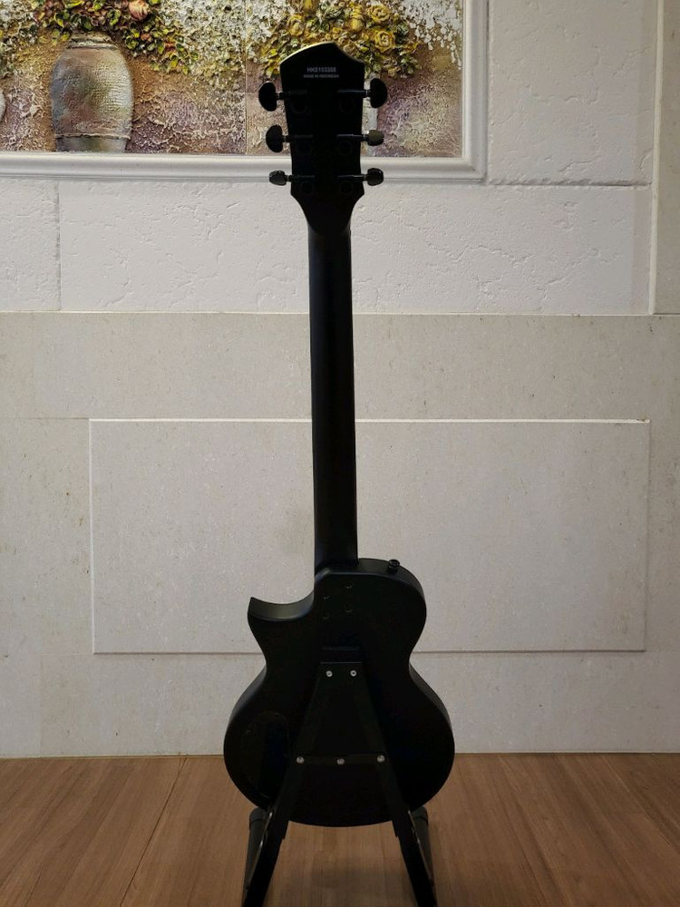 (새제품)헥스 HEX H100 무광 블랙 일렉기타 풀세트 판매합니다--4