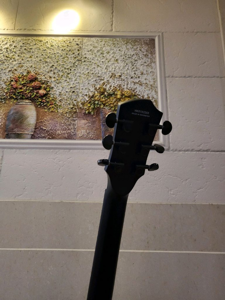 (새제품)헥스 HEX H100 무광 블랙 일렉기타 풀세트 판매합니다--6