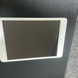 아이패드 미니 5세대 64기가 실버