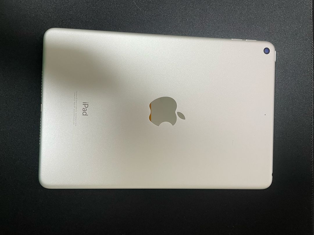 아이패드 미니 5세대 64기가 실버--1