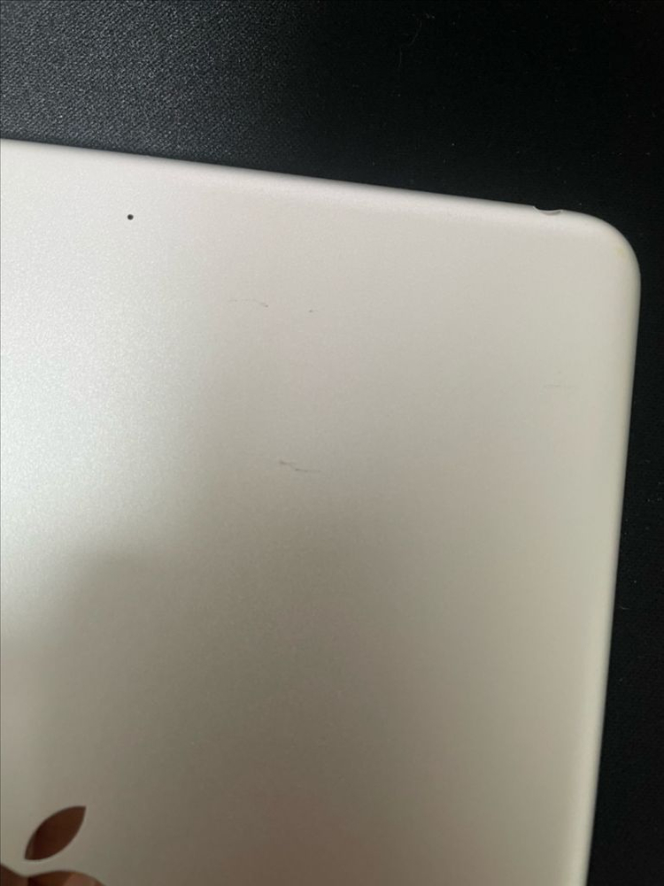 아이패드 미니 5세대 64기가 실버--2