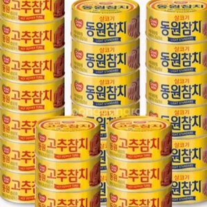 동원참치 100G25캔 고추참치100G12캔+라이트스탠다드100G13캔
