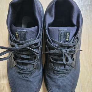 나이키 페가수스 트레일5 GTX 265mm 팝니다