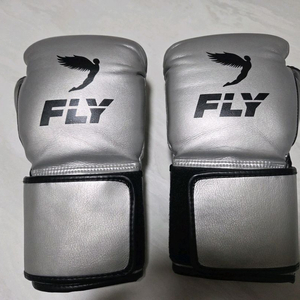 FLY 12온스 복싱 글러브