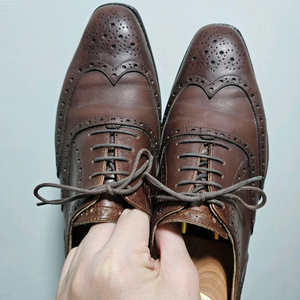 VASS 바쉬 윙팁 UK5.5F