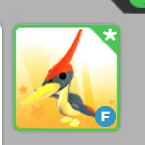 입양하세요 나는 익룡 이미지