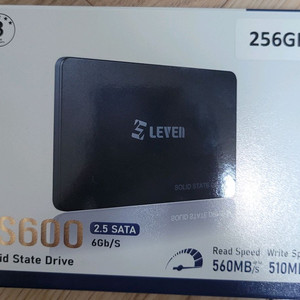 LEVEN JS600SSD 256G
